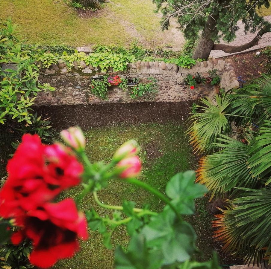 La Casa Di Marzia Διαμέρισμα Μπαρντολίνο Εξωτερικό φωτογραφία